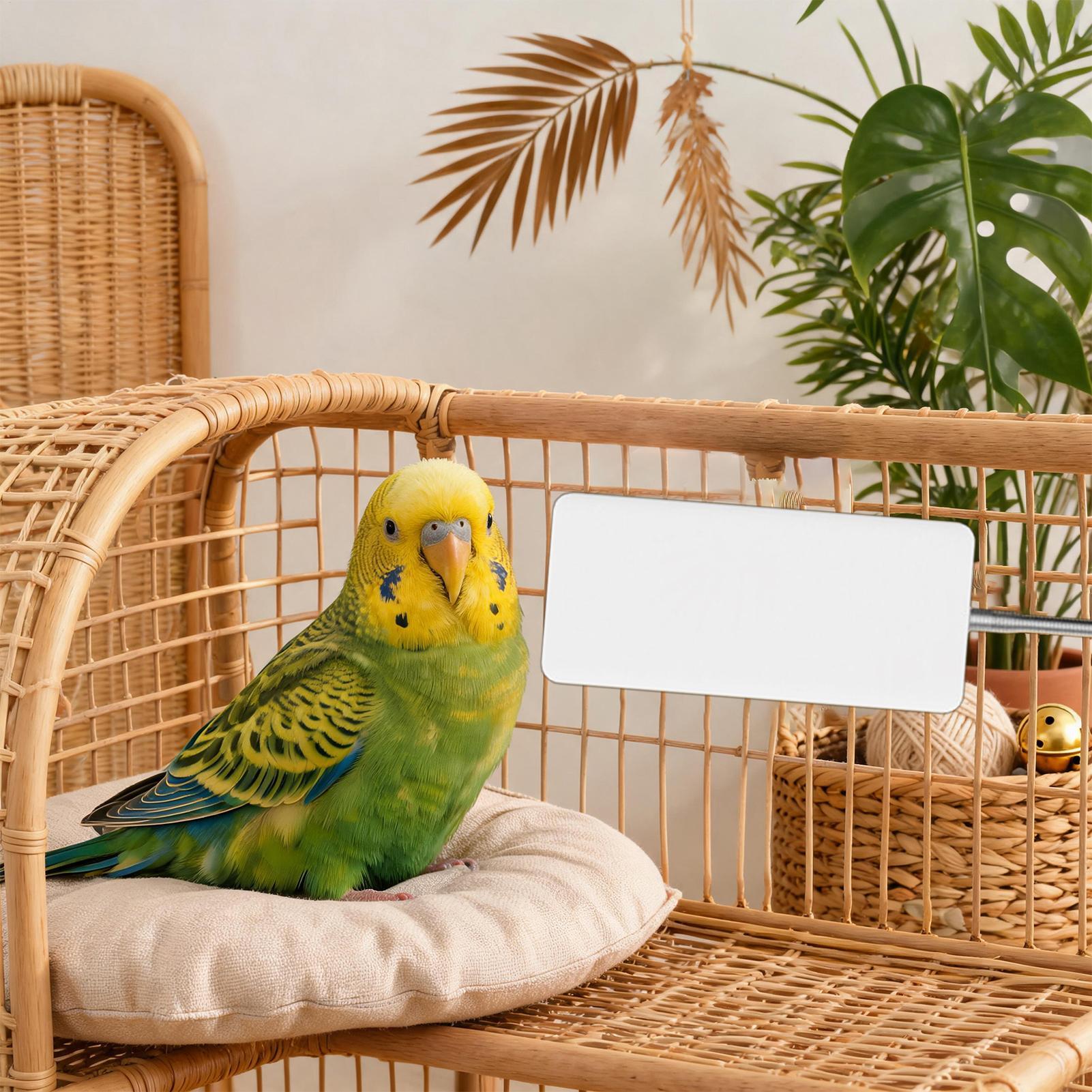 Smart Garden Bird Bath - เครื่องทำความร้อนสำหรับนก 5V ปลอดภัย อุปกรณ์ให้ความอบอุ่นในฤดูหนาวสำหรับสัตว์เลี้ยง เครื่องทำความร้อนอัจฉริยะสำหรับนกแก้วในฤดูหนาว สำหรับสวนในร่ม