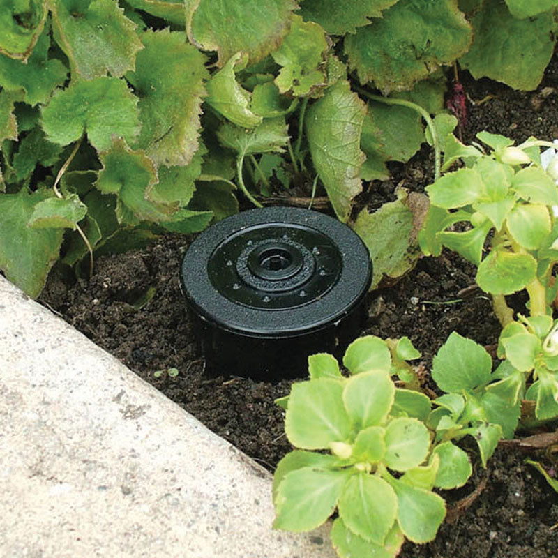 ซ่อนคีย์เงินสดซ่อนกล่องสปริงเก - Smart Garden Storage บทวิจารณ์และราคา