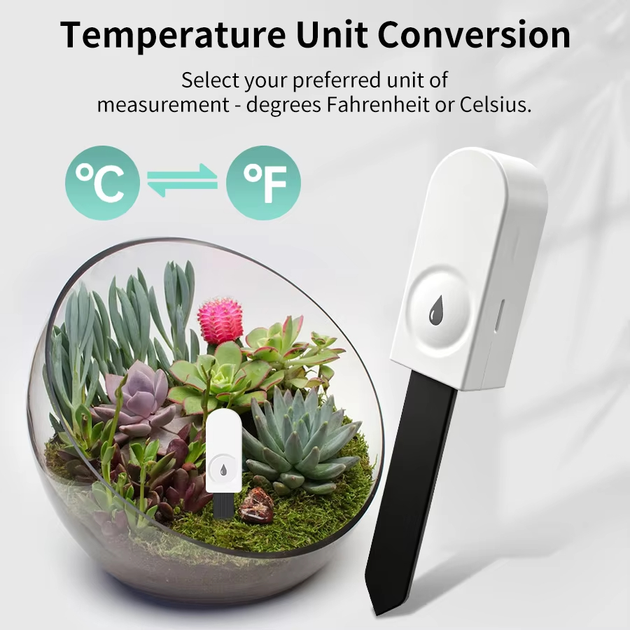 เครื่องวัดความชื้นในดิน Zigbee - Smart Garden Zigbee บทวิจารณ์และราคา