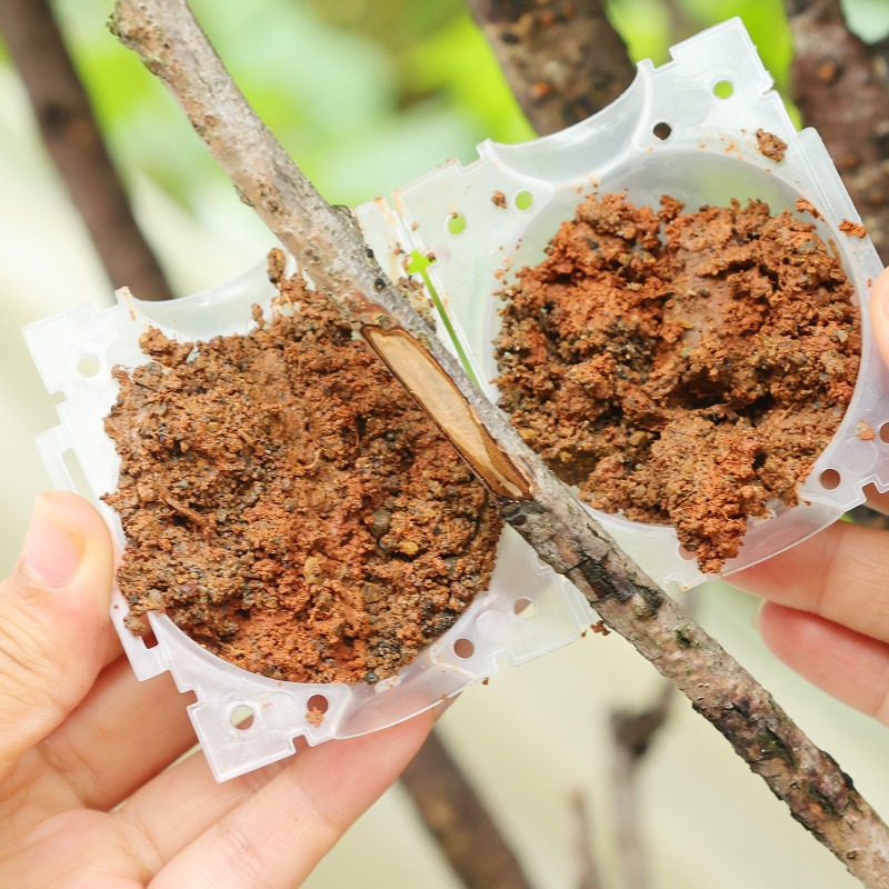 อุปกรณ์ปลูกต้นไม้แบบใช้ซ้ำได้  - Smart Garden Storage บทวิจารณ์และราคา