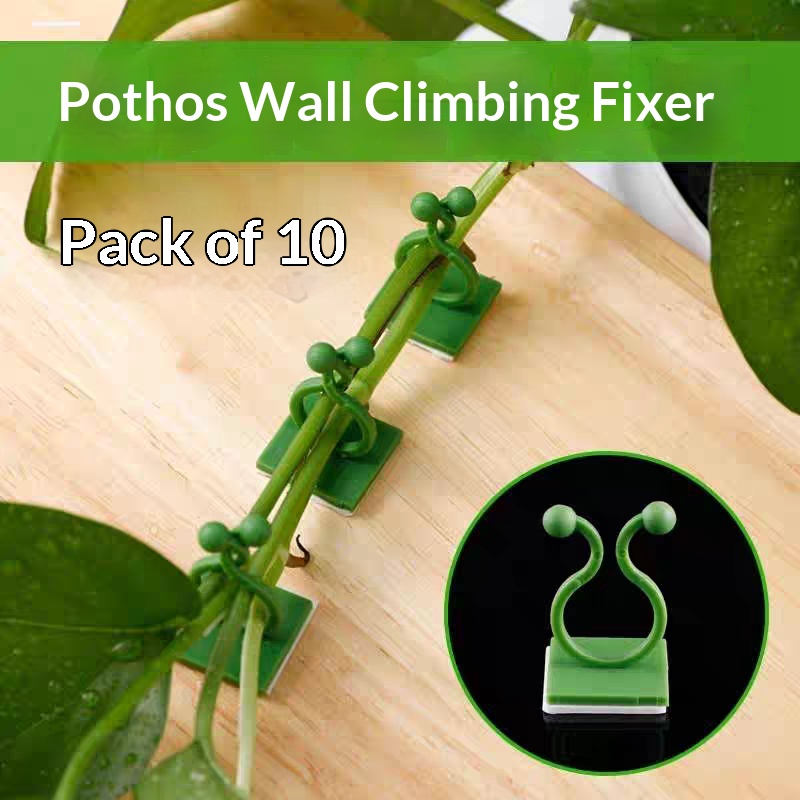 คลิปยึดต้นไม้แบบมีกาวในตัวสำหร - Smart Garden Storage บทวิจารณ์และราคา