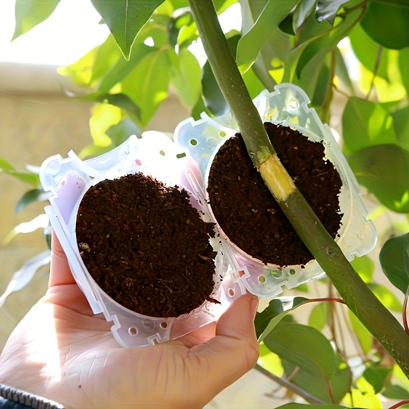 ชุดอุปกรณ์ขยายพันธุ์พืชแบบแรงด - Smart Garden Storage บทวิจารณ์และราคา